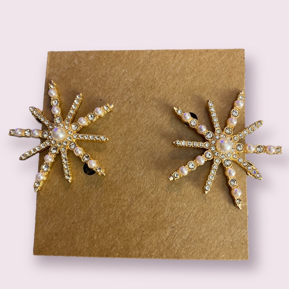 2pcs Snowflake Decor Minimalist Hair Clips - #176